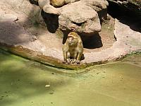P1010176