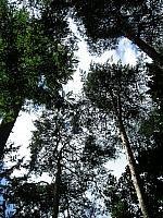 P1010186