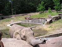 P1010188