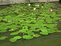 P1010214