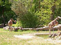 dscn0858