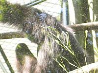 dscn0868