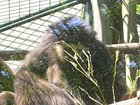 dscn0869