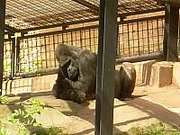 dscn0870