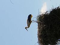 dscn0880