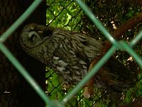 dscn0881