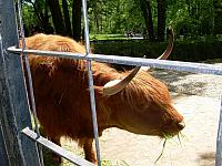 dscn0884