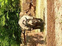 dscn0885