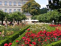 DSCF6522