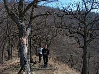 HPIM3463