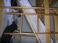 DSCN2452