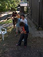HPIM0902