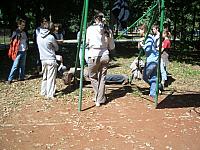 CIMG4953