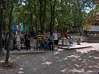 HPIM8317