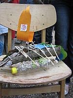 IMG 5583