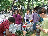 Hajni0901