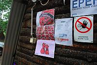 20100828-FazekasGT-eletkep-150