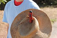 IMG 1091 001
