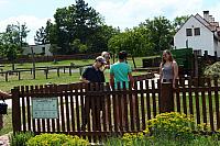IMG 6493
