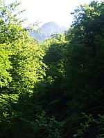p7010436