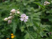 p7020512