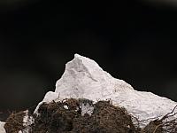 p7020565