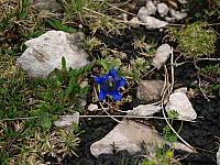 p7020584