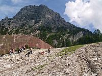 p7020599