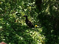 p7030625