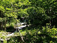 p7030627