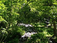 p7030632