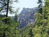 p7030642