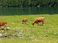 p7030650