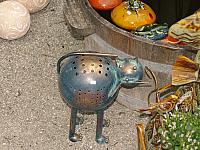 p7040708