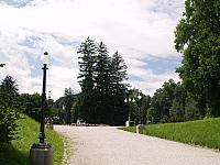 p7050729
