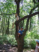 img 0369