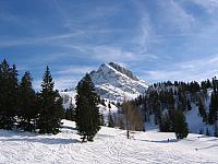 fmgsitabor20060028