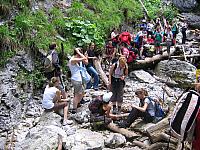 img 0237
