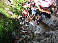 img 0244