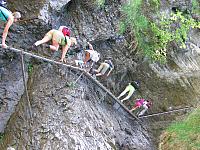 img 0247