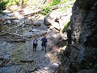 img 0259