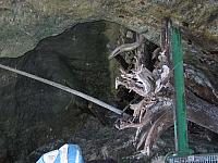 img 0264