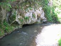 img 0288