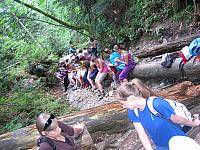 img 0293