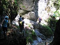 img 0302