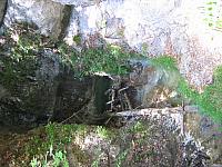 img 0304