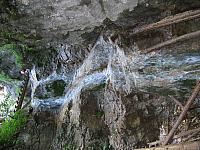 img 0308