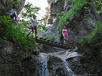 img 0309
