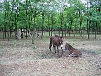 img 0320