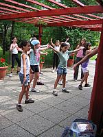 img 0347